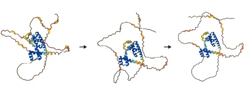 three molecular diagrams of reprogramming factors which look like curly squiggles with sections of tinner yellow and thicker blue