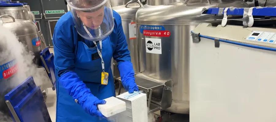 Researcher wearing protective clothing removing samples from a liquid nitrogen tanks. Large silver liquid nitrogen tanks in the background
