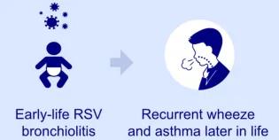 Graphic of a baby with virus developing into an adult, coughing with asthma