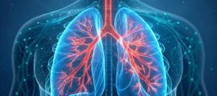 AI generated lungs in a body