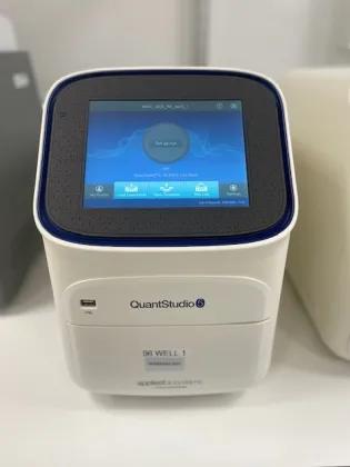QuantStudio 5 real-time PCR instrument.