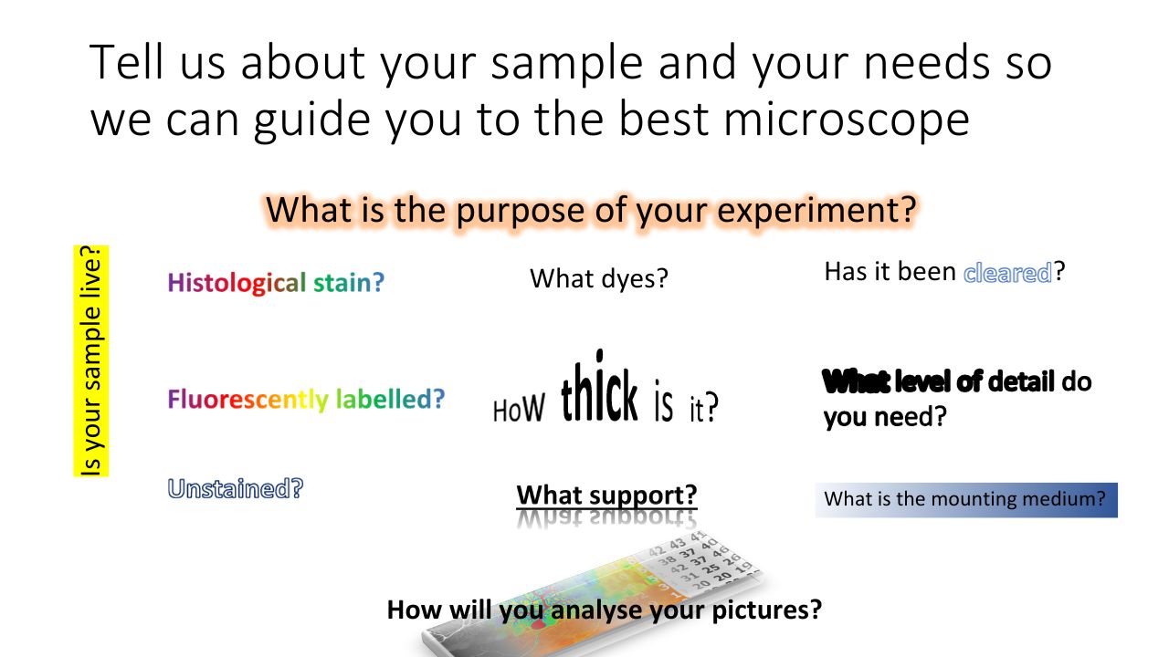 Tell us about your sample and your needs so we can guide you to the best microscope: What is the purpose of your experiment? Is your sample live? Histological stain? What dyes? Has it been cleared? Fluorescently labelled? How thick is it? What level of detail do you need? Unstained? What support do you need? What is the mounting medium? How will you analyse your picture?