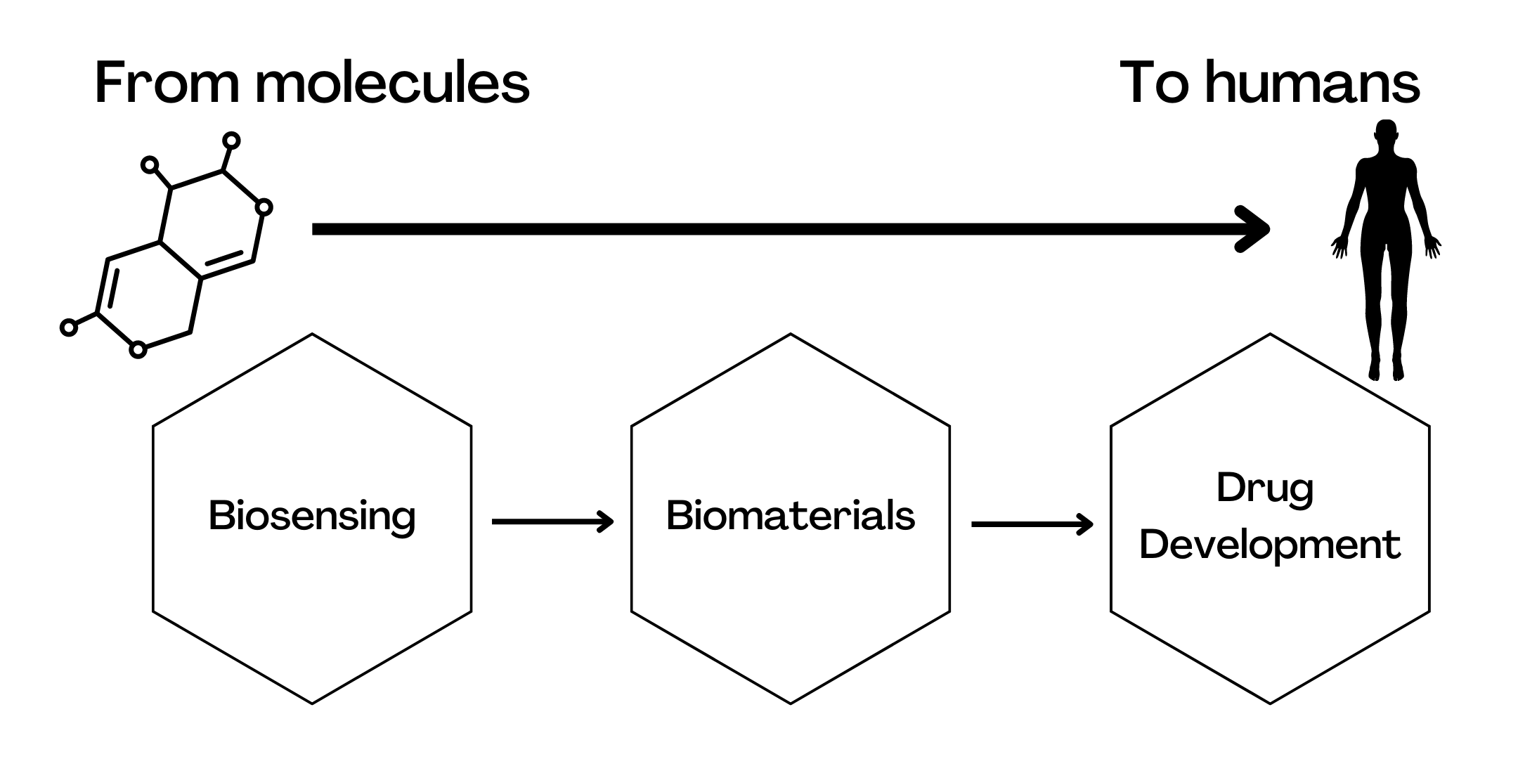 Infographic - From molecules to humans - hexagons with \"biosensing\" \"biomaterials\" \"drug development\" and arrows between