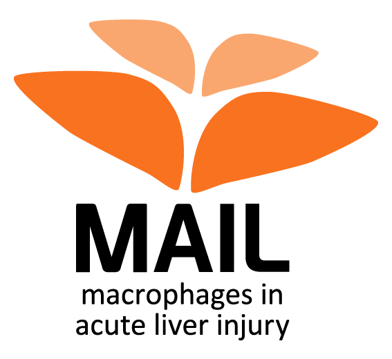 Logo for the MAIL trial - Macrophage Therapy for Acute Liver Injury