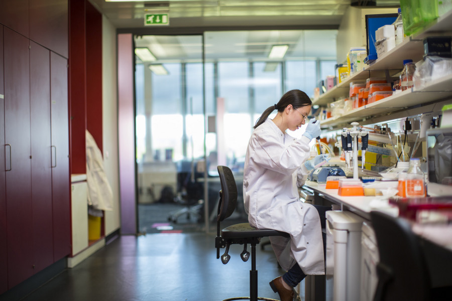 Researcher working at the bench