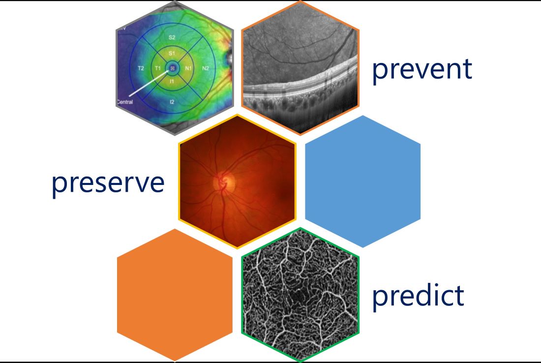 Infographic on ROC aims: prevent, preserve, predict