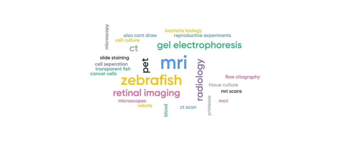 Feedback from Day 4 of Science Insights.