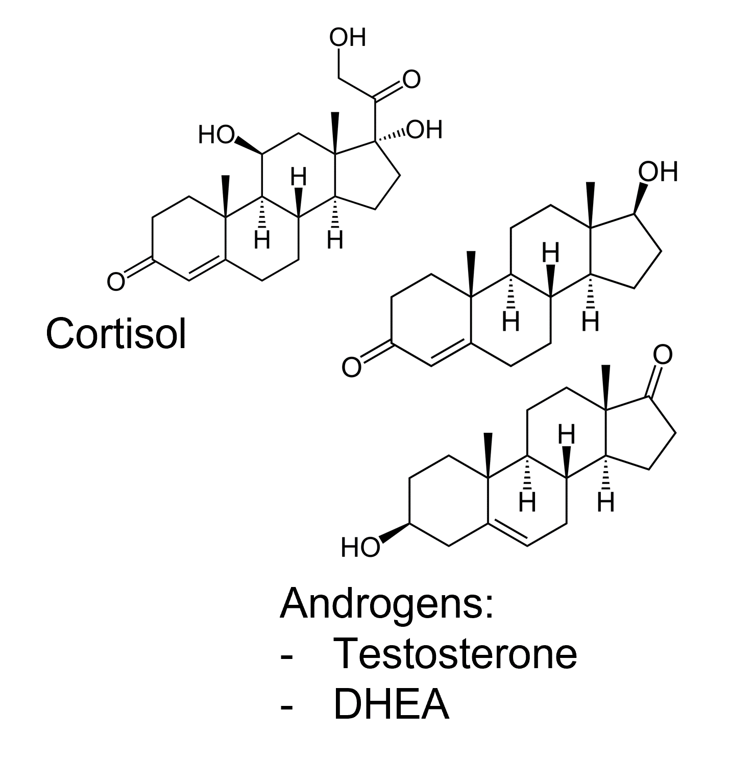 Molecular diagram of Cortisol and Androgens (Testosterone and DHEA)