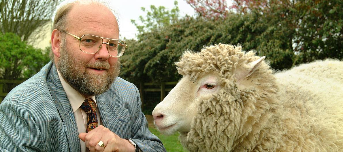 A photograph of Professor Sir Ian Wilmut kneeling beside Dolly the sheep